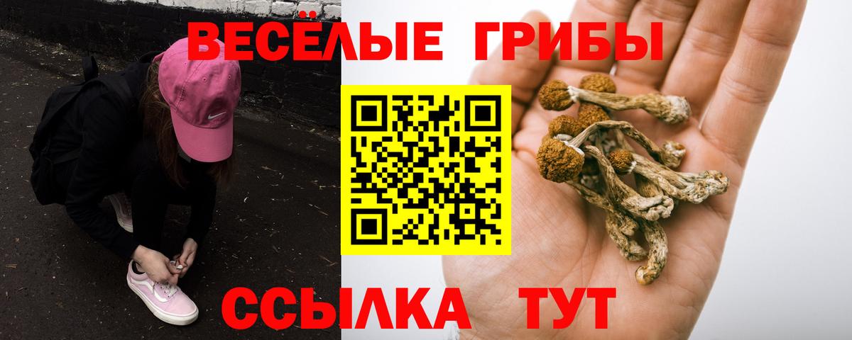Псилоцибиновые грибы Psilocybe  Псилоцибиновые грибы Psilocybine cubensis  Вход с VPN  Тверь 